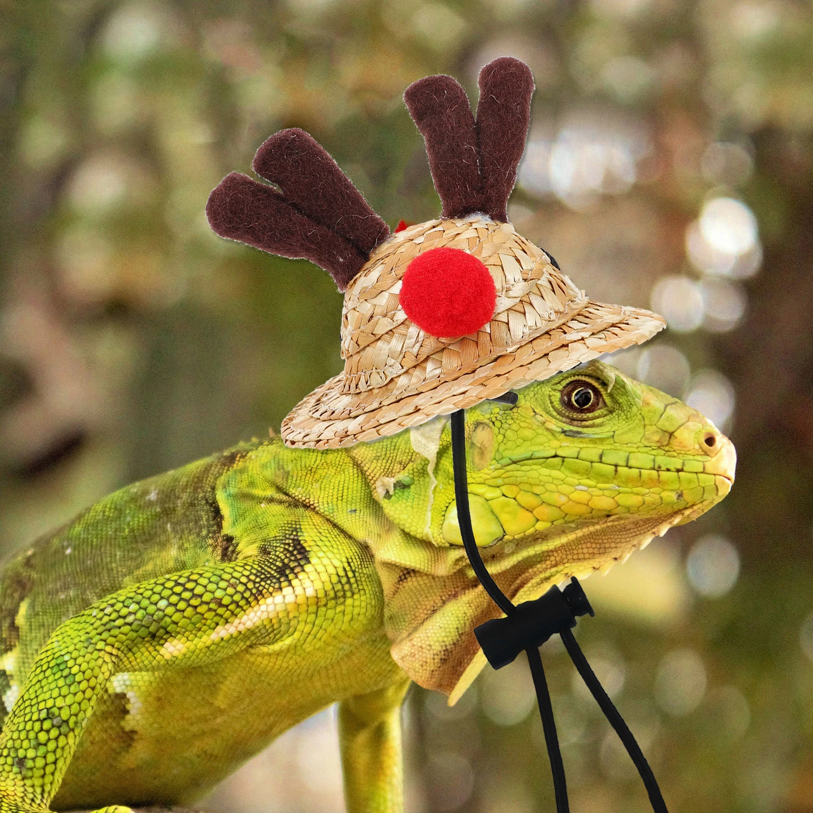 

1Set Reptile Hat Scarf Christmas Lizard Costume Lightweight Easy to Wear Pet Reptile Cosplay Christmas Lizard Scarf