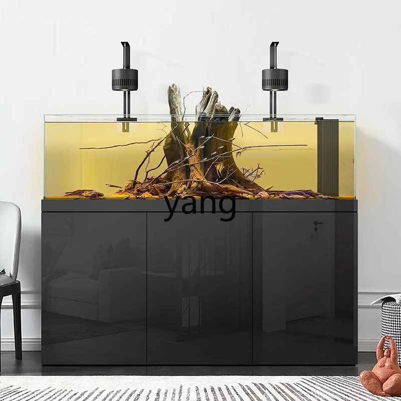 CX Lanshou Taishi Tank Native Stream South America Sanhu Fish Tank Aquarium