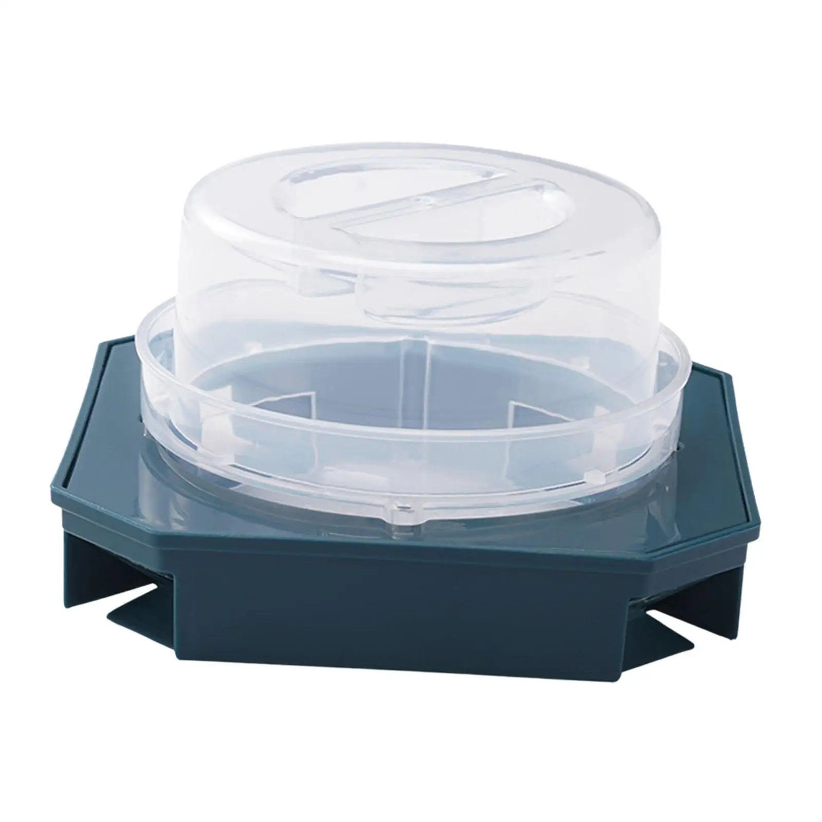 Cockroach Box Versatile Trapping Crawling Bugs House Detachable Physical Catching for Bedroom Dorm Living Room Hotel Indoor