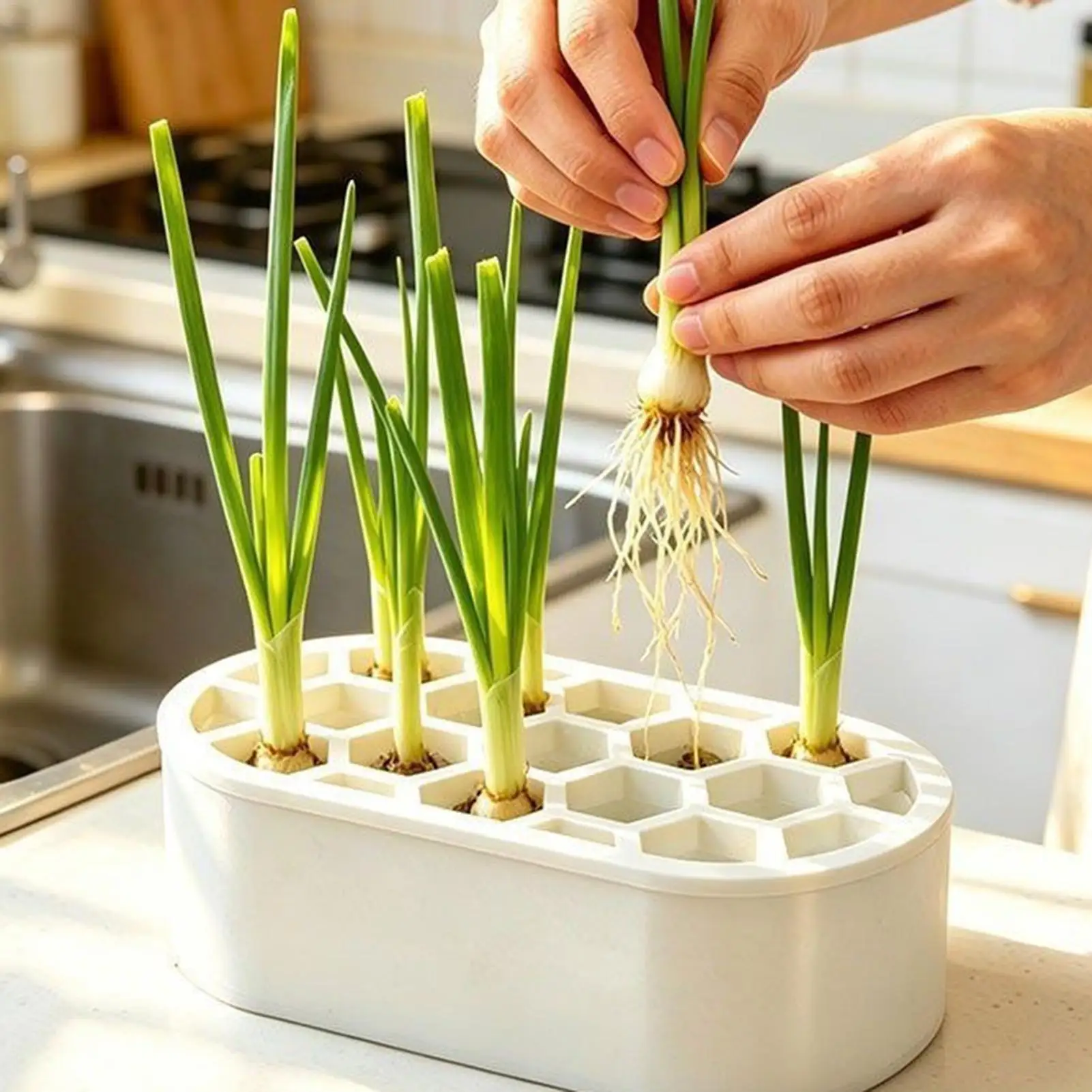 2pcs Hydroponic Growing Kit Home Propagation Soil-Free with Porous Lid Scallion Planter Box for Scallions Garlic Sprouts Mint