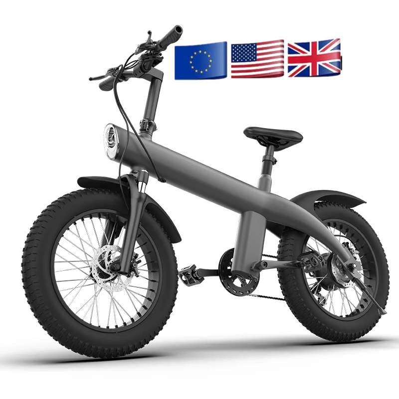 

Q3 Electric Bike 20 Inch Fat Tire Off Road Ebike 750W 48V Powerful Mountain Electric Bicycle for Adults Cycling E BIKE