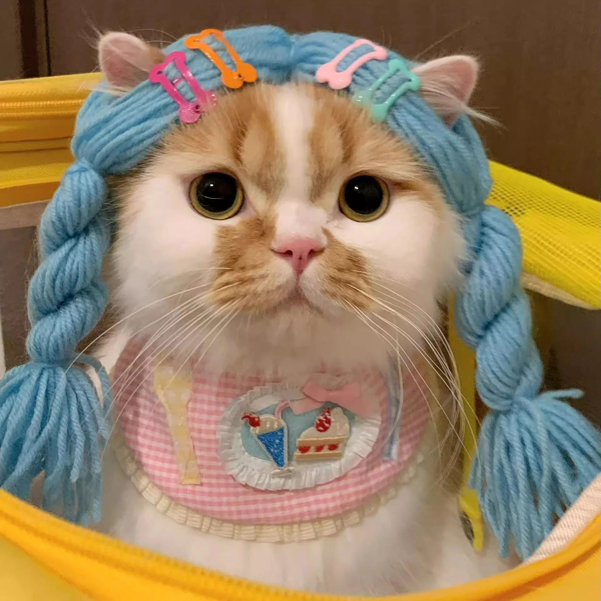 Cat Braided Wig Pet Hair Accessories Photo Props (Material Kit)