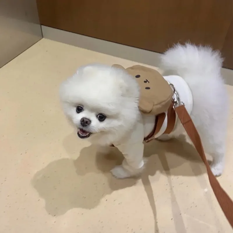 Cute Ins Dog Cat Go Out Pet Backpack Feces Picking Bag Snack Bag Teddy Backpack Puppy Backpack Dog Accessories Dog Collar