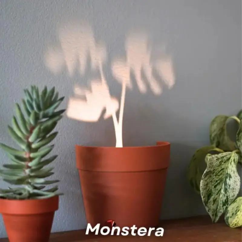 

Plant Pot Light Projections Creative Plant Pot Light Projections Indoor Plant Projection Lamp Projector Nightlights For Garden