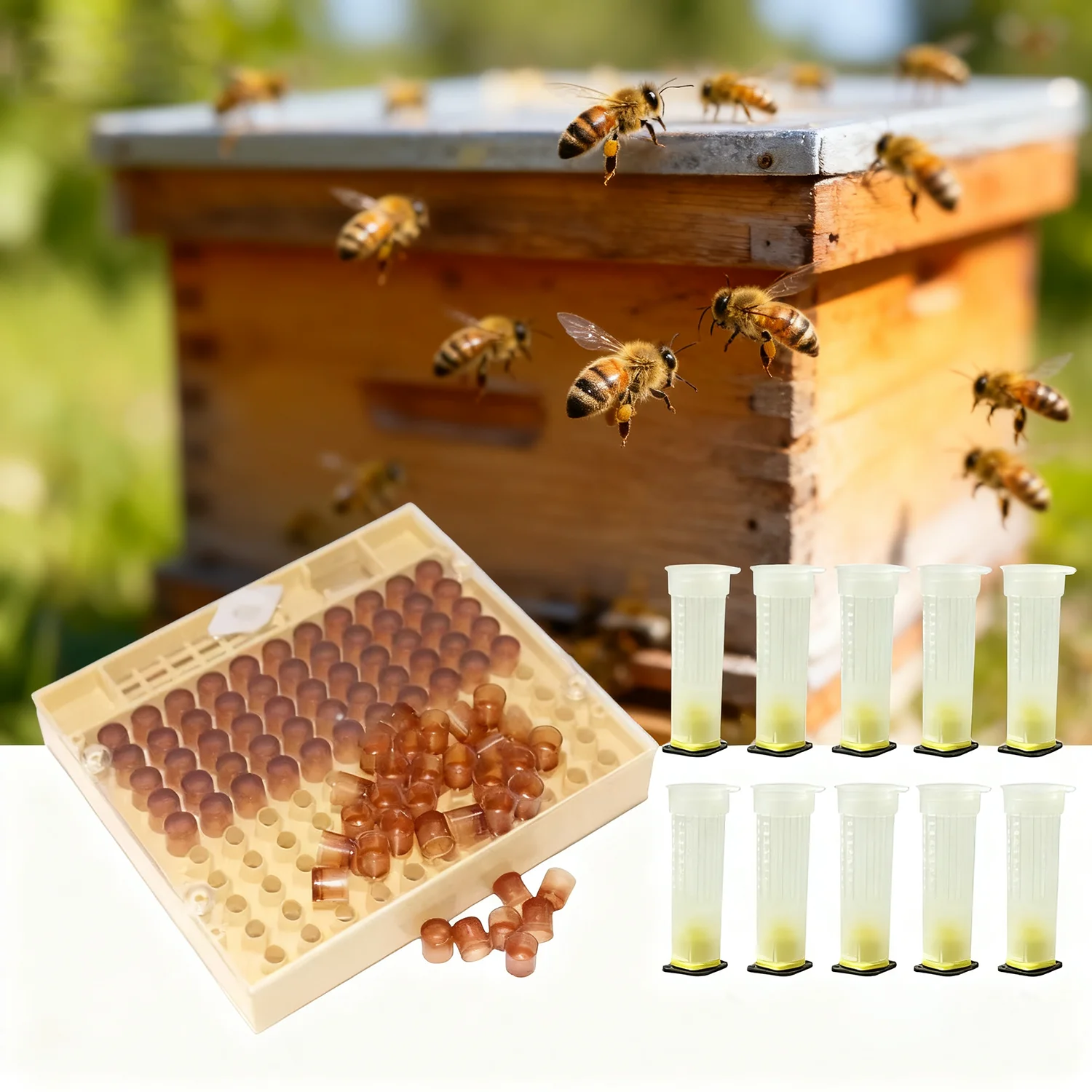 

Queen Bee Breeding Cell Cup Kit Box Kit Beekeeper Rearing Tool Queen Bees Isolation Cage Apiculture Beekeeping Supplies