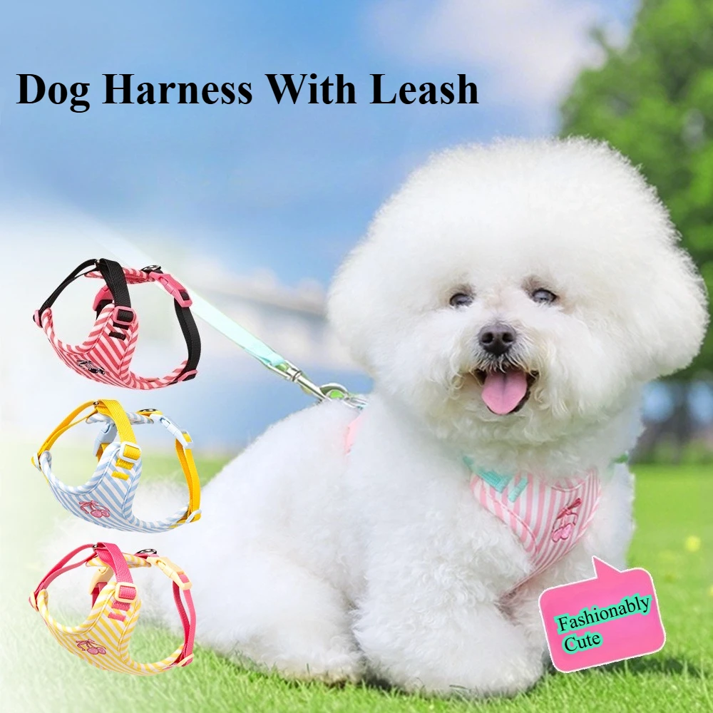 

Cat and Dog Chest Harness with Anti-Escape Stripes - Adorable Vest Style Small Dog and Cat Harness with Pet Leash and Cute Toy