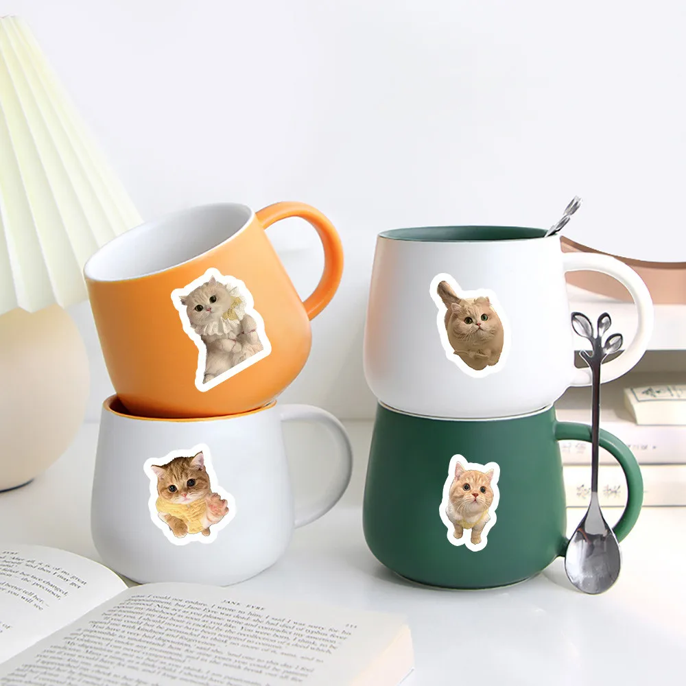 Realistic Kitty Sticker Book (103Pcs) - Photo-Style Cat Decor for Water Bottle - Murah & Cantik AnimeWorlds Store