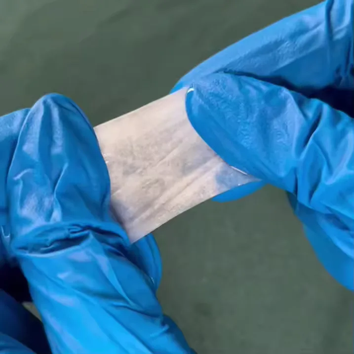 Dural Repair Patch Nail Surgical Neurosurgery