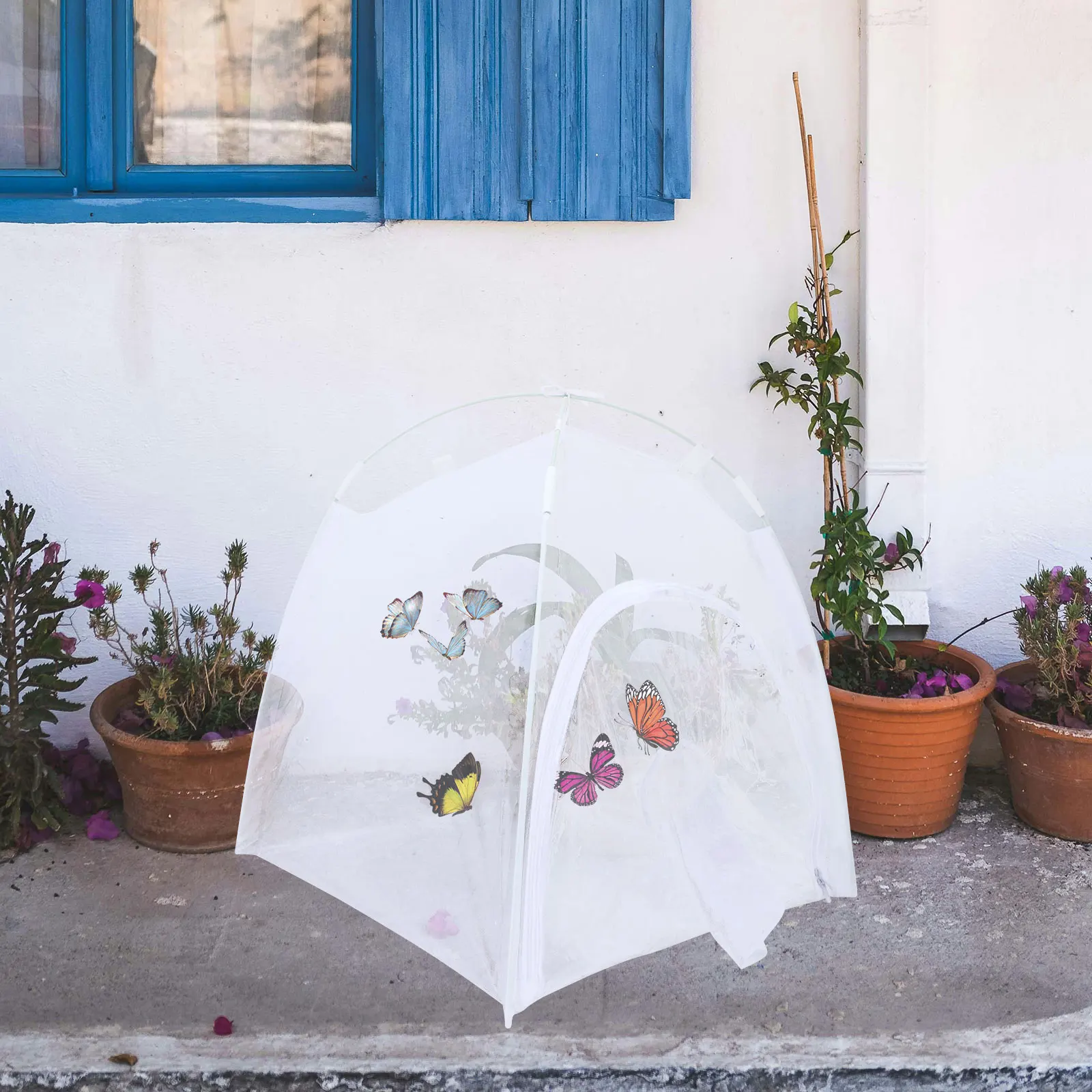 

Mini 22x22x28inch PVC White Plant House Insect Cage Butterfly Enclosure Breeding Observation Small Outdoor Greenhouse Mesh Net