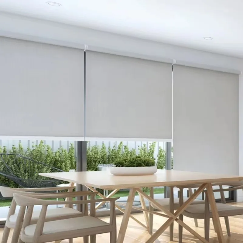 Outdoor Home Use Sun Pinhole Polyester Horizontal Light Filtering Pattern Electric Roller Shades Blinds for French Window