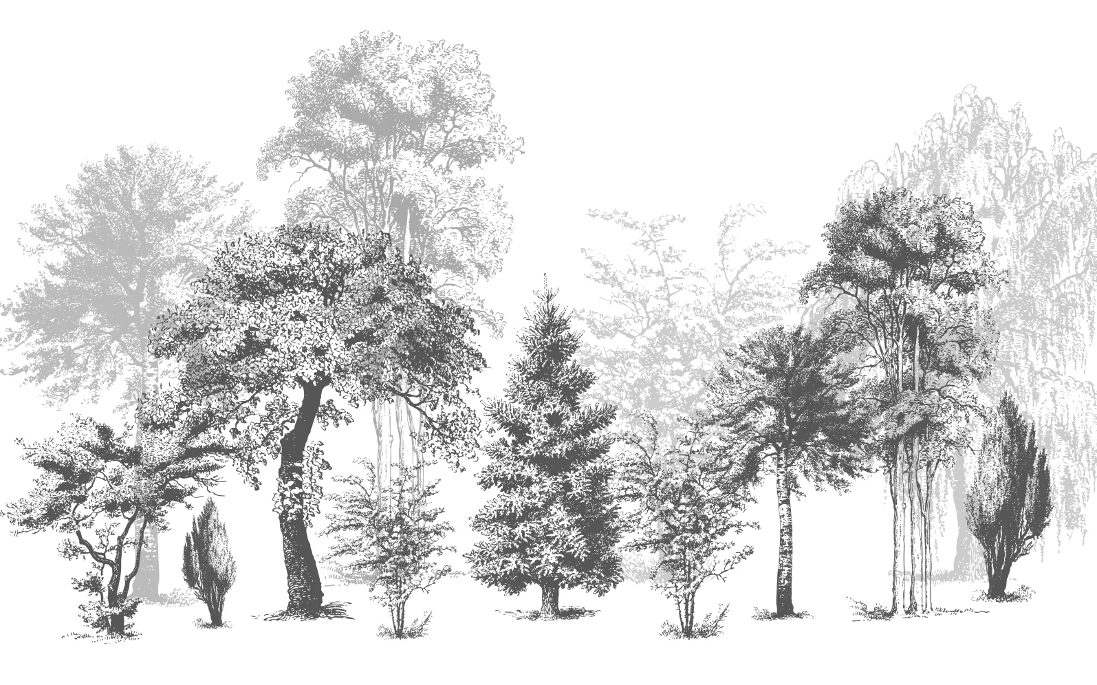 Custom size wallpaper photo Black and white tree elk forest background mural Home decor tree crown hanging painting 3d wallpaper