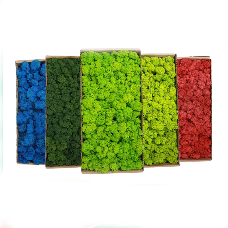 

500g Simulation Plants Eternal Life Moss /Garden Home Decor Wall DIY Flower Material Mini Garden Micro Landscape Fake Moss Gift