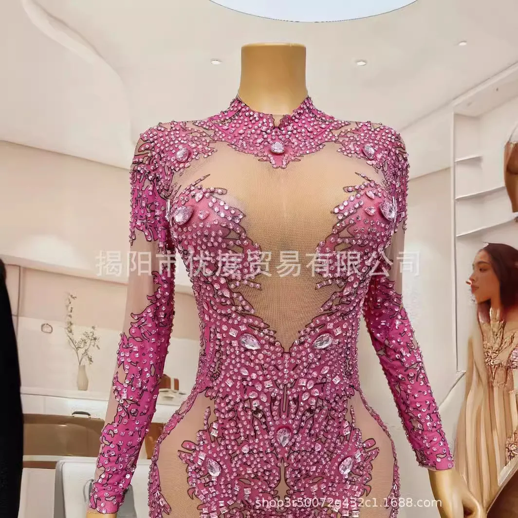 Perspective Hand-painted Print DJ Reception Rhinestone Jumpsuit Glam Female Singer Night Party Performance Pink Grapes Robe Fête