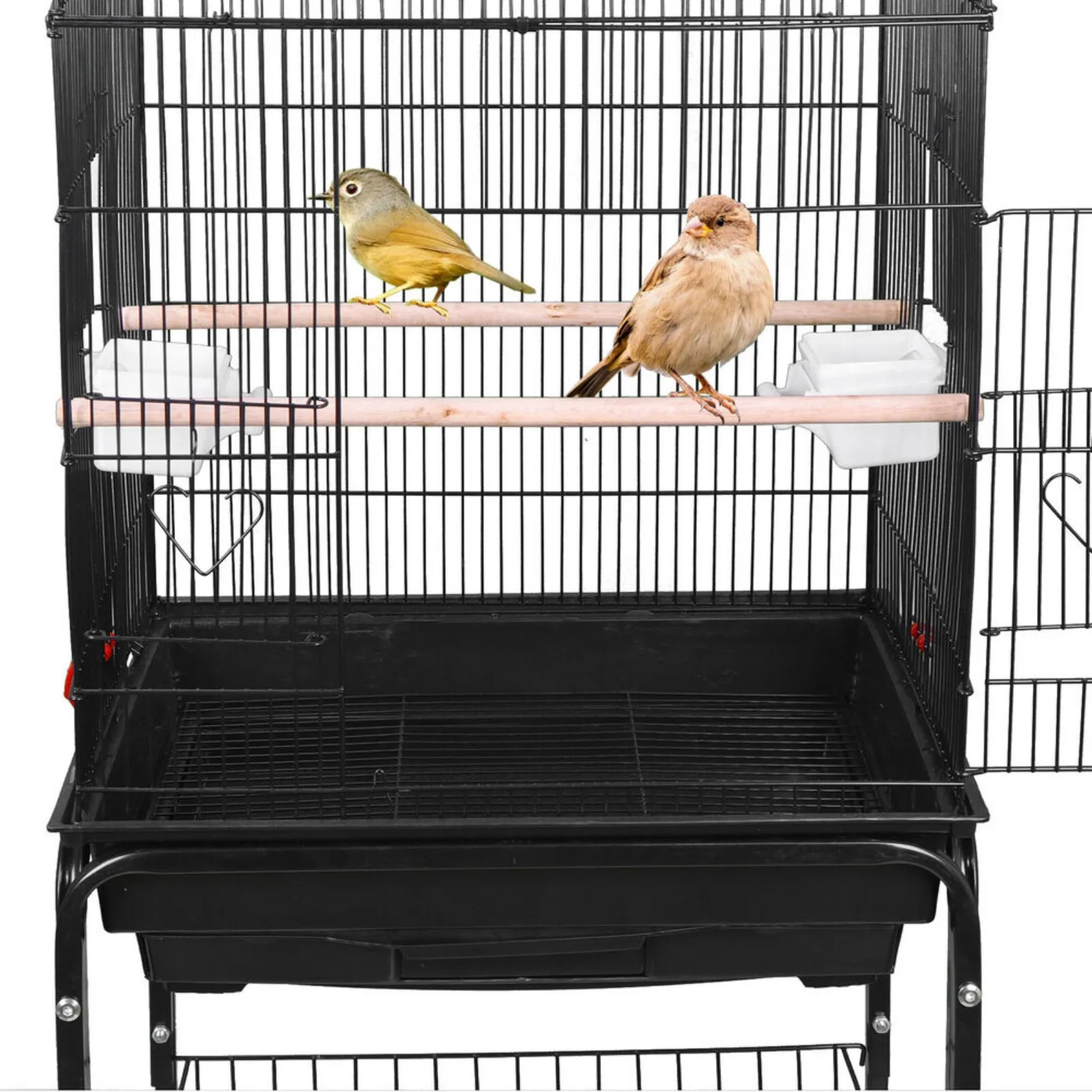 59'' Bird Cage with Rolling Stand Cockatiel Parakeet Finch Parrot Birdcage Black United States