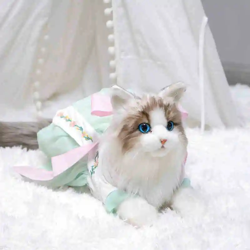 Simulação fofa ragdoll boneca de pelúcia kawaii gato macio animal de pelúcia menina travesseiro de dormir aniversário presente de natal decoração de casa