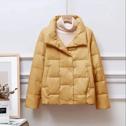 2023 New Down Cotton Jacket for Women's Winter Wear Korean Version Loose Small Padded Jacket for Women's Short Lightweight Parka