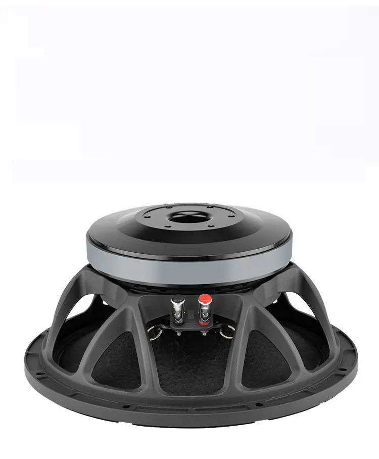 High-quality 12-inch High-power Woofer Speakers