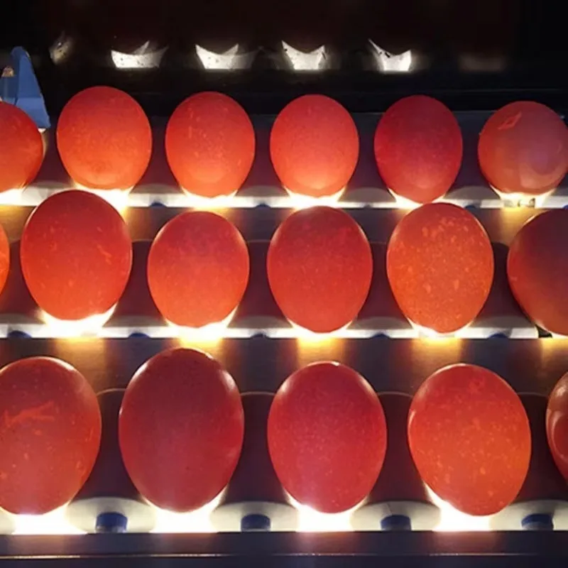 

Multifunctional Commercial Automatic Weight Divide Chicken Duck Goose Salted Eggs Machine for Sale Good Price