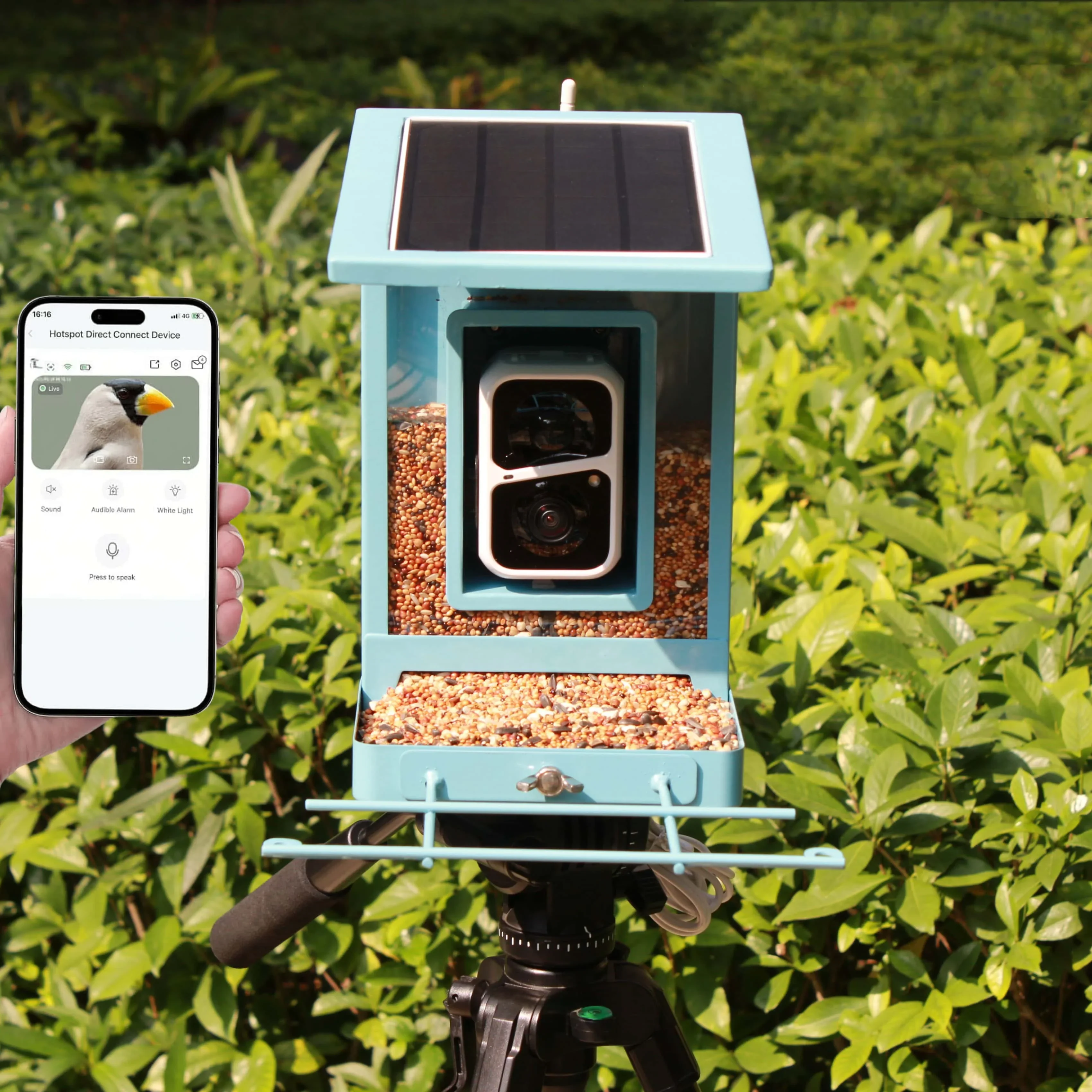 

Smart Metal Bird Feeder With Camera Automatic Seed Dispenser