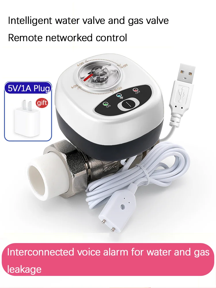 eWelink APP WiFi Smart Valve Water Gas Shutoff Automated Ball Valve DN15/DN20/DN25 Wireless Control For Alexa Google Alice