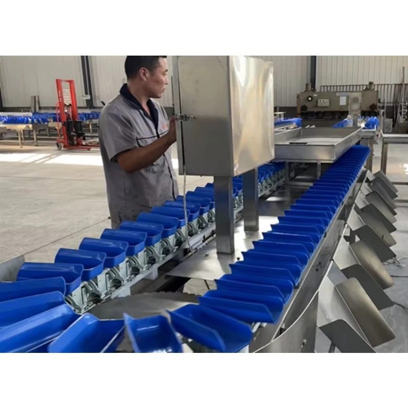 Customizing Fruit and Vegetable Sorting Machine Potato Grading Size Grader Machine