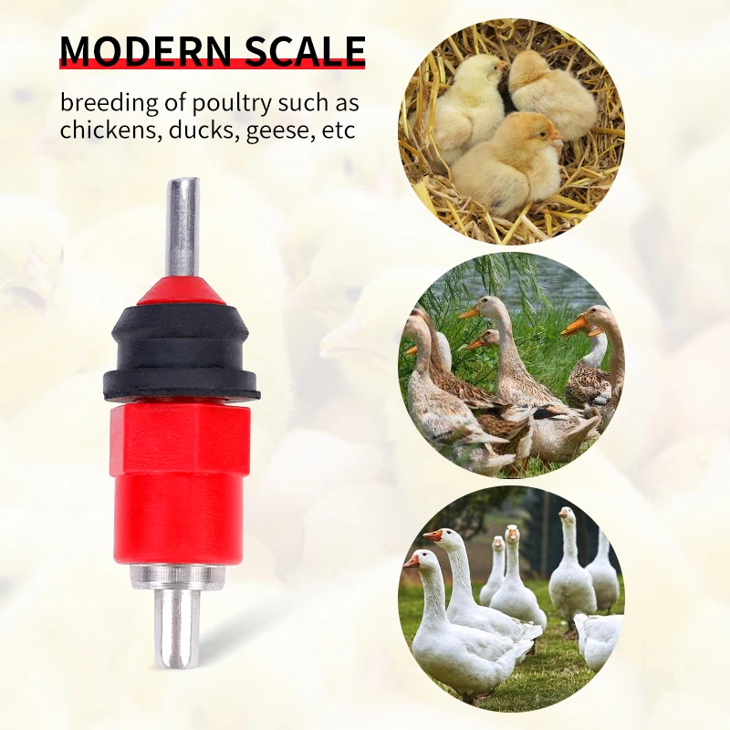 5/10Pcs Automatic Water Dispenser Quail Pigeon Bird Waterer Chicken Waterer Nipple Drinkers Nipples Poultry Farming Equipment