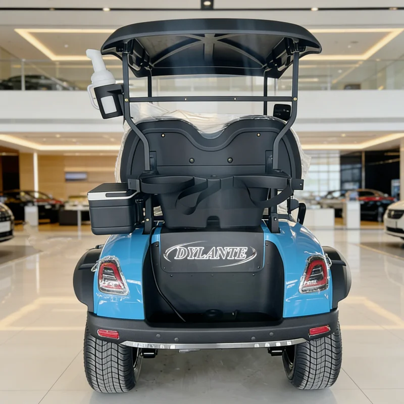 

Электрический 2-4-местный гольф-кар/электробус для экскурсий, 48В, 3.5кВт, двигатель переменного тока, внедорожные шины, с солнечной панелью