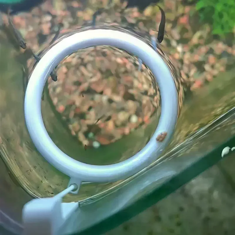 3D Printed Floating Aquarium Circular Feeder Ring Water-level Adaptive Anti-scatter Feeding Fish Tank Accessories 1 Set