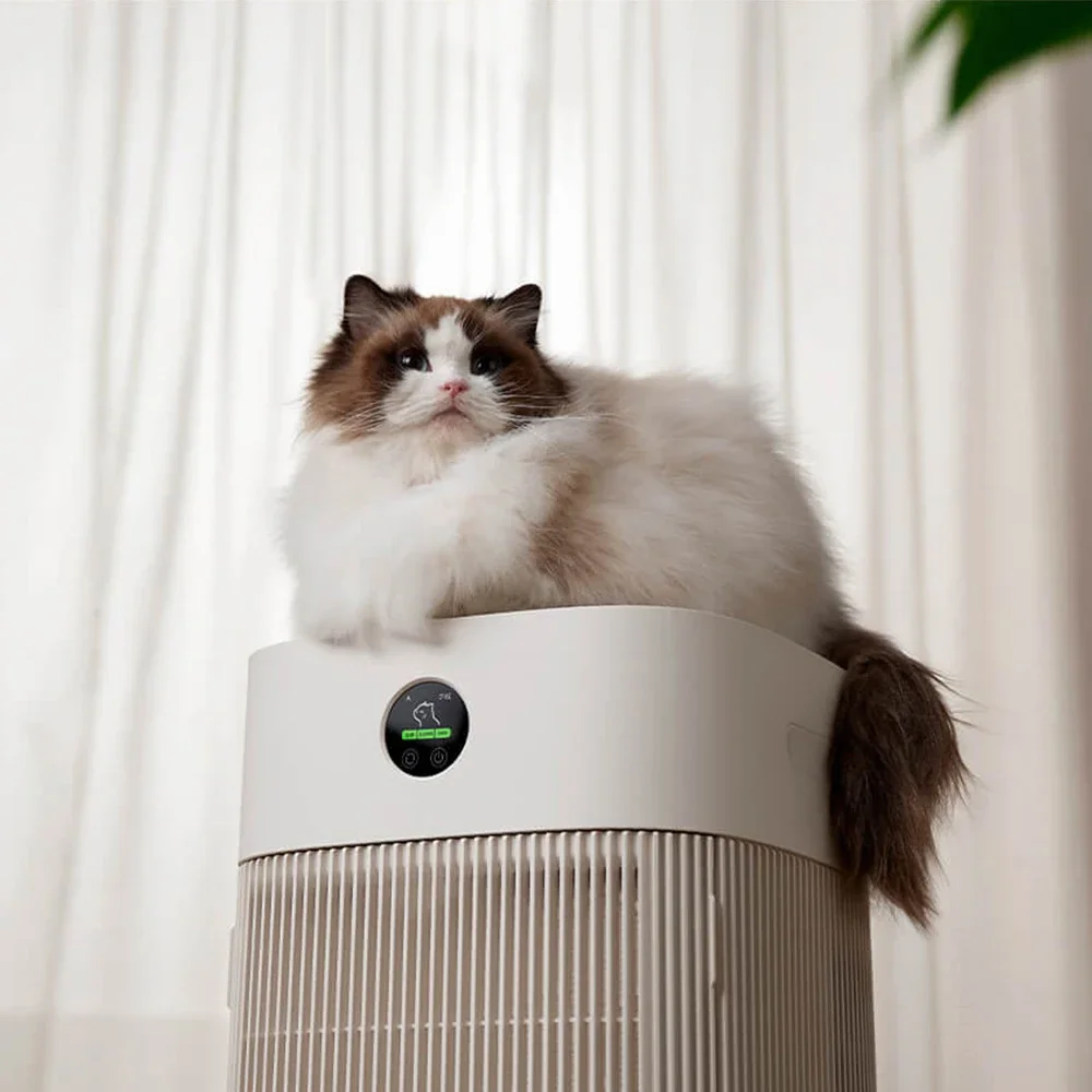 Gatos cabelo absorvem rapidamente pelos de cães e eliminam eliminadores de odores para cuidados com animais de estimação inteligentes purificador de ar para alergias domésticas