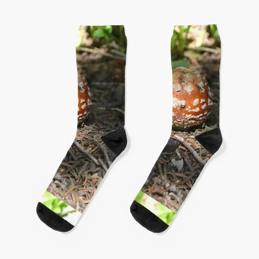 

Polka Dot Puff Ball Socks bright garter Soccer Lots Men's Socks Ladies Men's