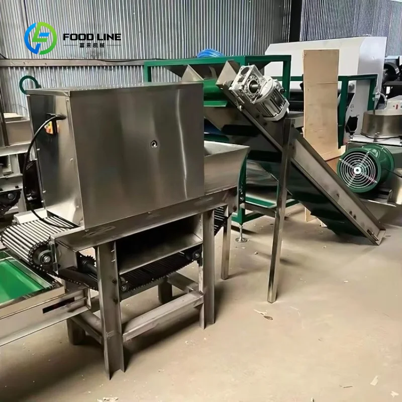 Customized Full Automatic High Quality Machine for Peeling Garlic / Chain Garlic Peeling Machine
