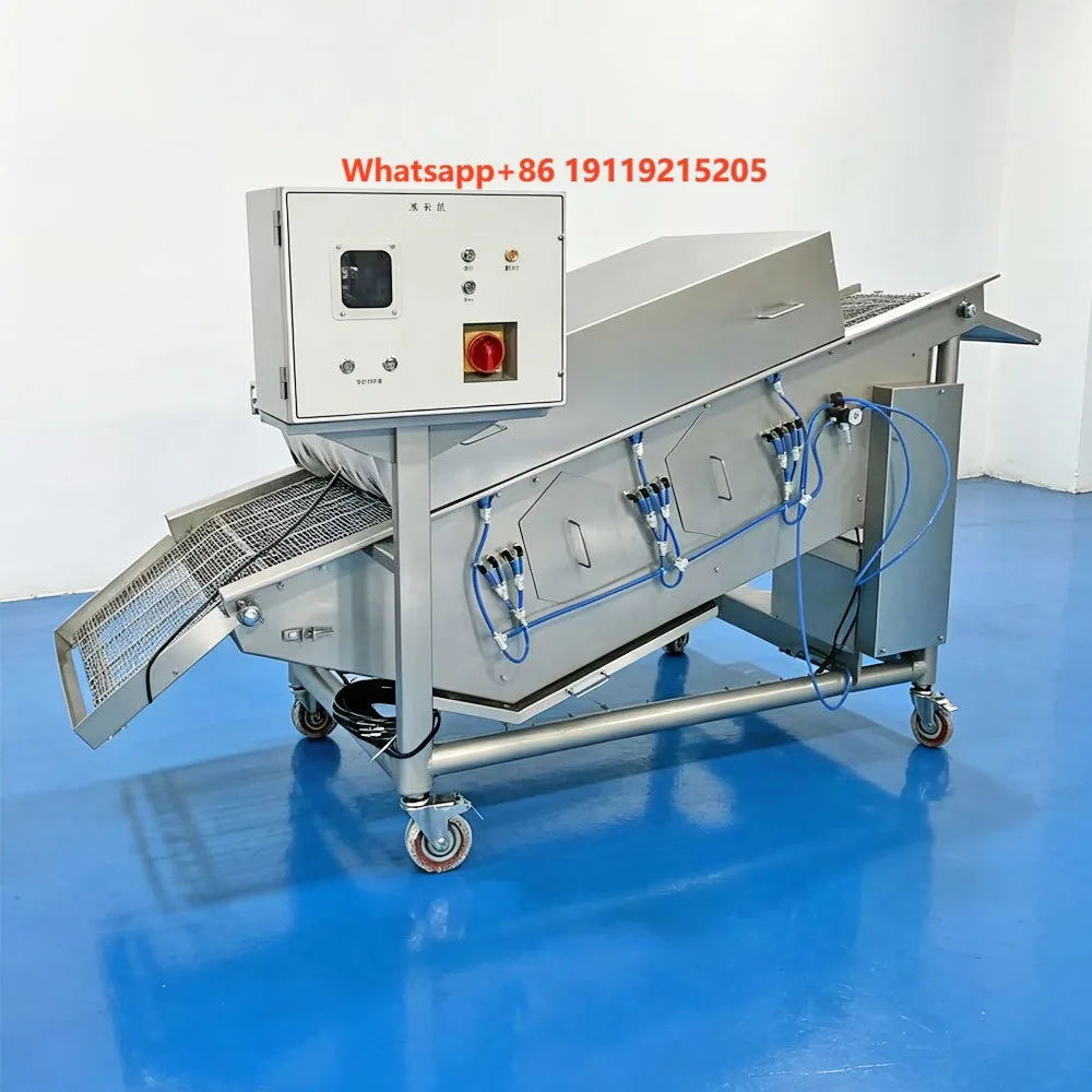 Ice Glazing Machine CE Certified Even Ice Coating Equipment for Squid Ring Tentacle and Frozen Fish Ball Production