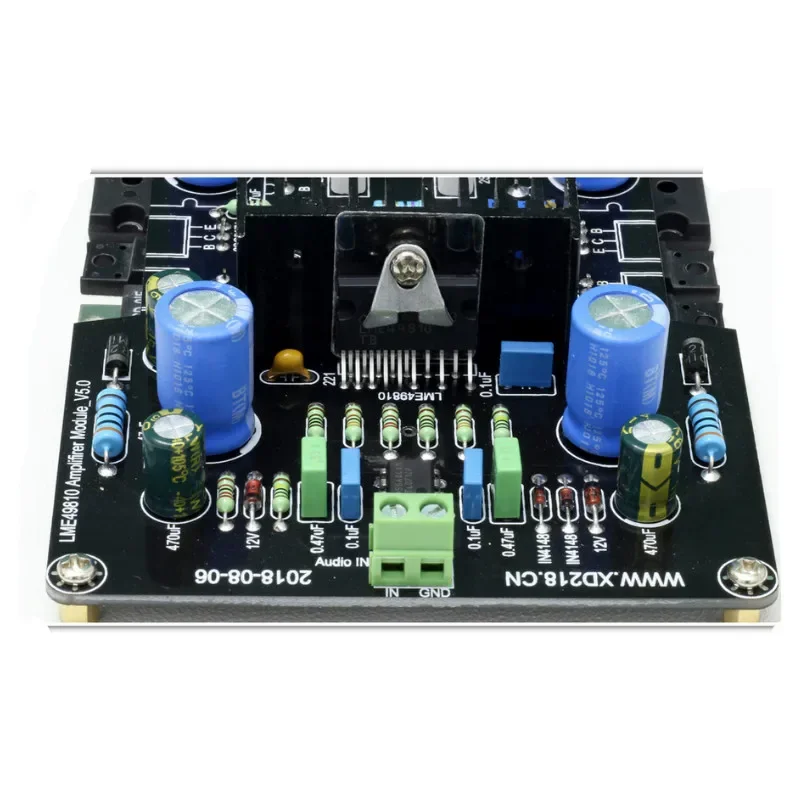 Placa amplificadora de potencia de Audio de tubo, Servo de CC Mono, 300W, LME49810, 2SA1943, 2SC5200
