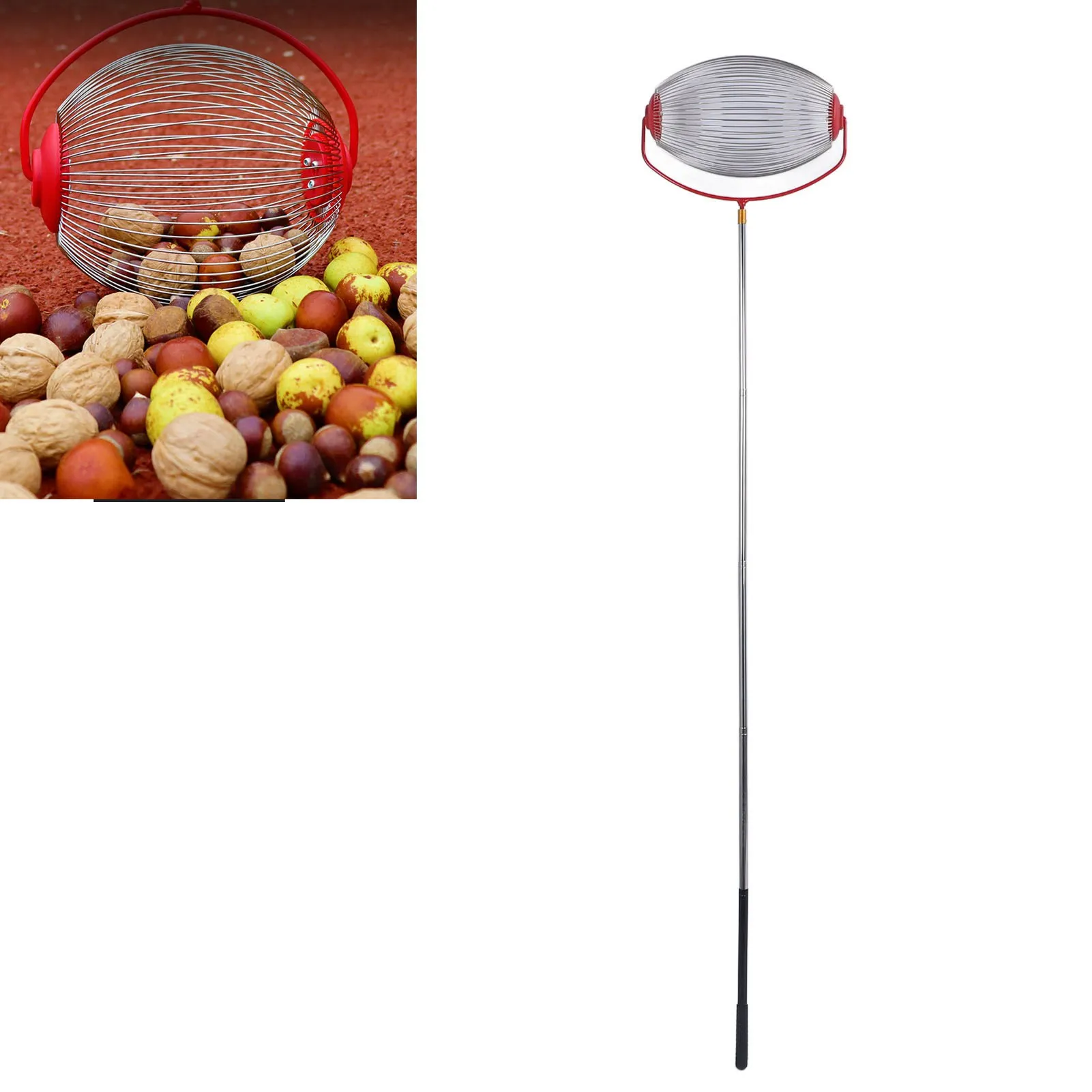 ZK40 Nut Gatherer Efficient Multifunction Portable Rolling Acorn Picker Upper Roller Walnuts Pecans Chestnuts Large