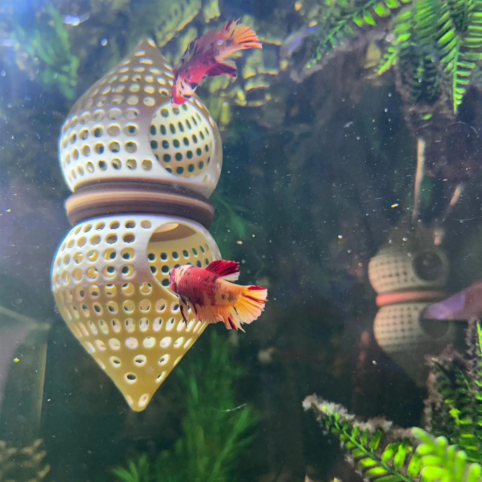 Hamaca Impresa en 3D para Peces Betta, Cueva Comedero para Acuario, Refugio Multiusos, Juguete de Descanso para Corydora, Bagre, Cangrejo Payaso, Pez Enano