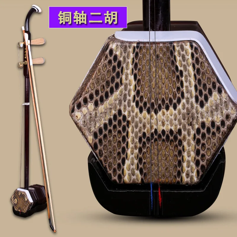 Chinese Erhu, Adults and Children Learning Suzhou Erhu to Play the Musical Instrument Two Strings Violin Hardwood