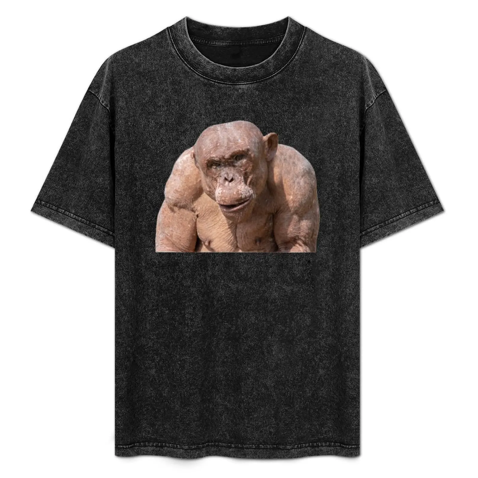 

Jambo The Hairless Male Chimp (Transparent Background) T-Shirt Outdoor Work Short Sleeve Top