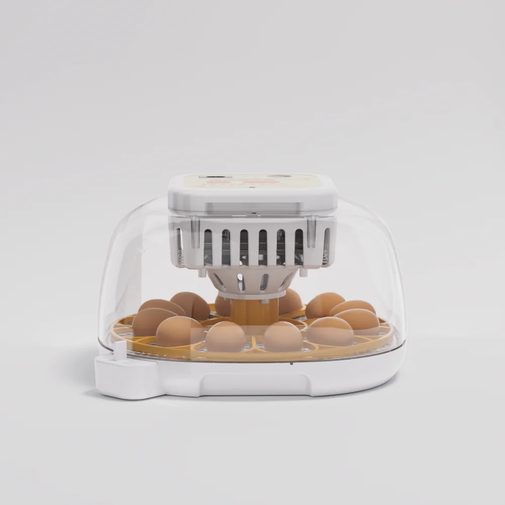 

Automatic 12-egg Mini Incubator Hatcher with Higher Hatching Rate Dual power 12v