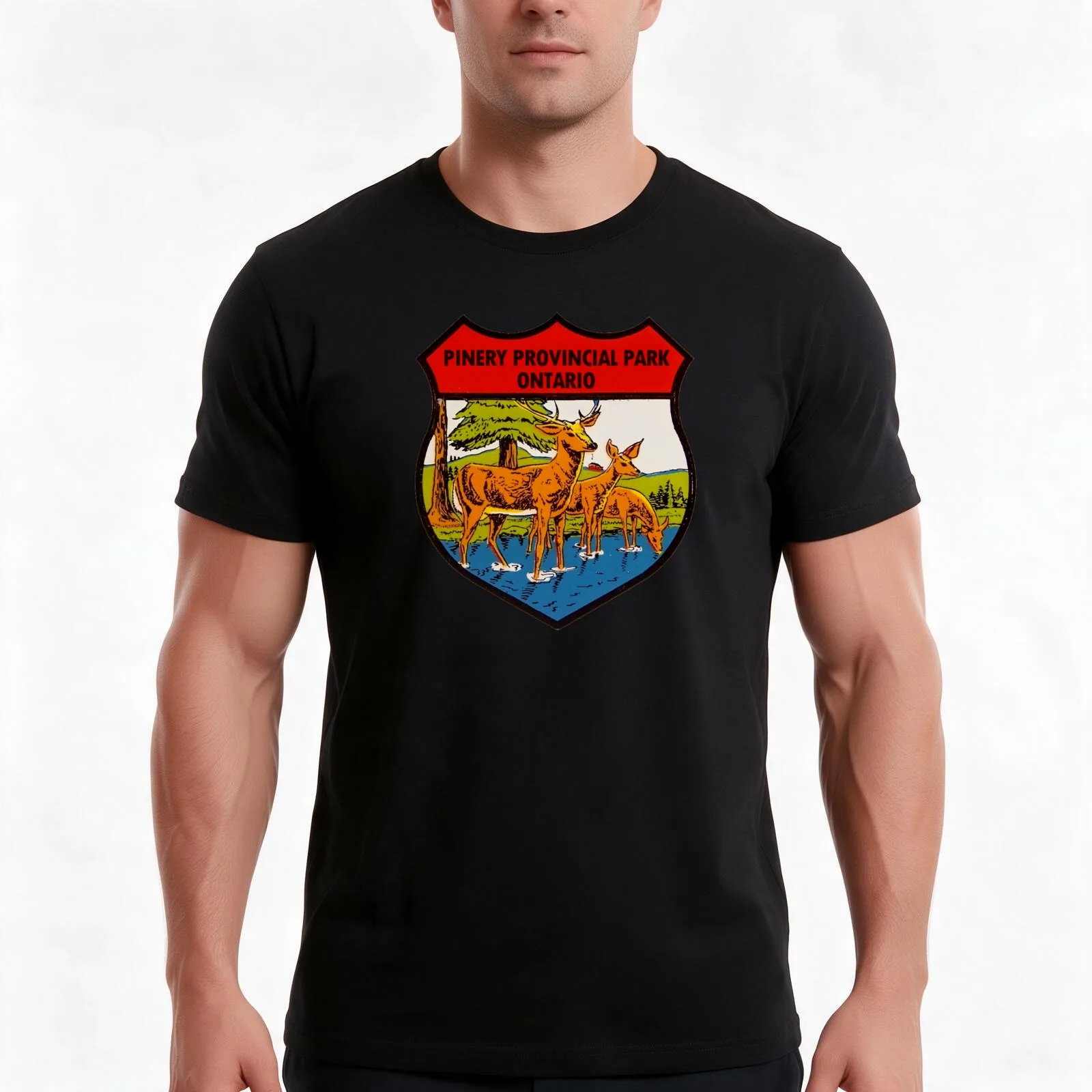 Pinery Provincial Park Ontario Vintage Travel Decal T-Shirt Summer Casual Cotton Tee Oversized Streetwear Tops 100% Cotton