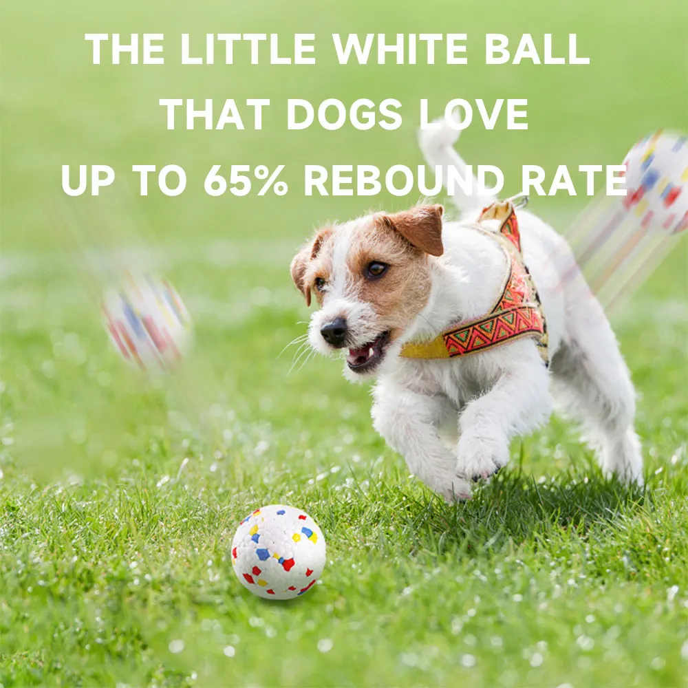 Bite Resistant Solid Dog Ball Toys for Small Large Dogs High Elasticity E-TPU Pet Chew Ball Toy Non Squeak Interactive Puppy Toy