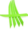 light green
