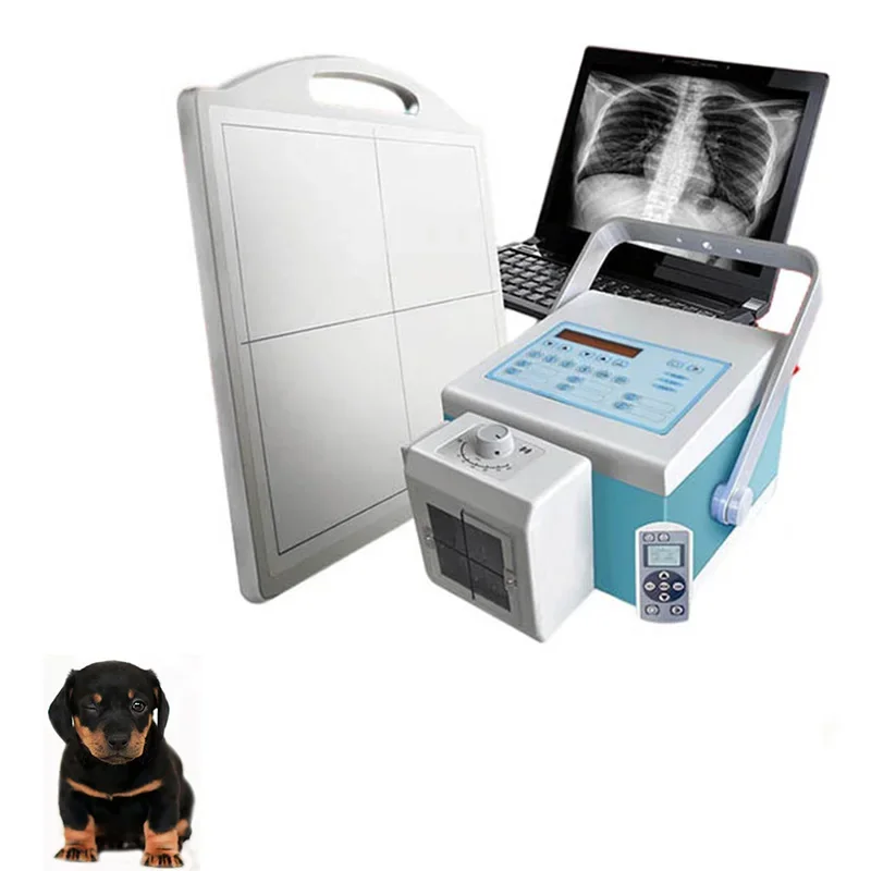 Factory Direct Price Custom Veterinary X-Ray Computed Tomography System