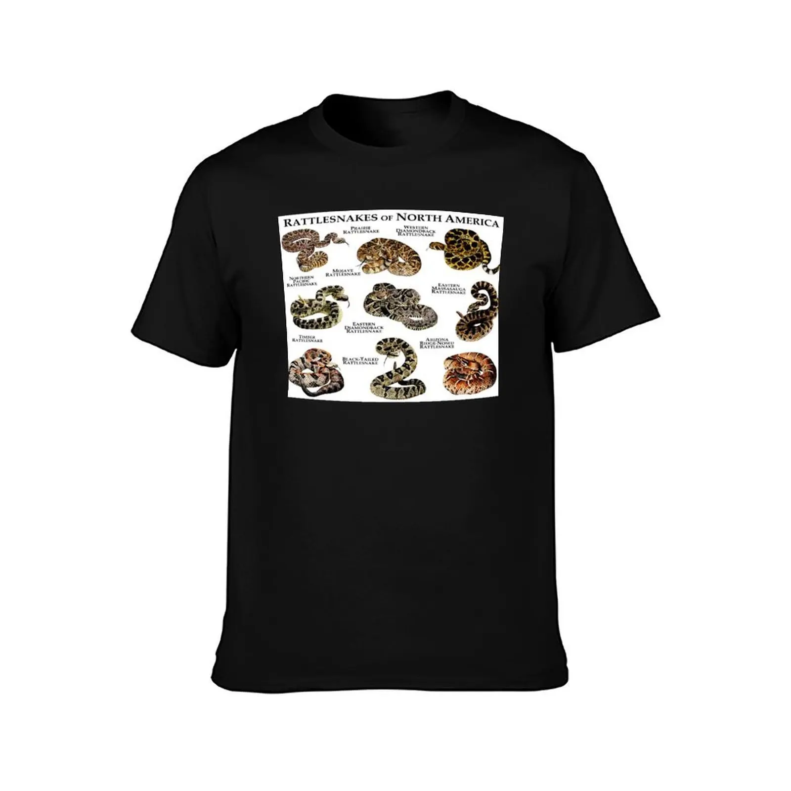 Rattlesnakes of the North America T-Shirt Plus Size Lightweight Tee Shirt T-Shirt