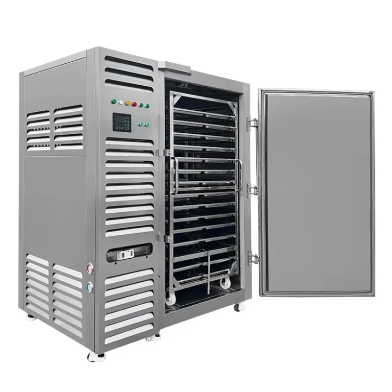 Airo Premium Quality Commercial Shock Freezing Freezer Tunnel for Fruit Blast Chiller Deep Freezers