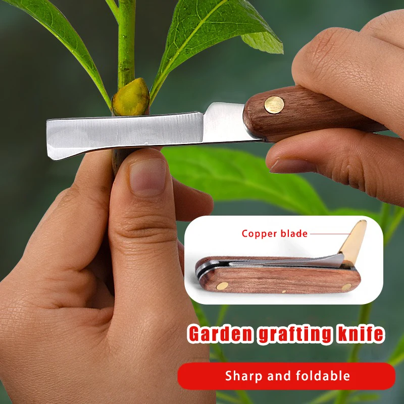 Double-Edged Grafting Knife Rosewood Handle Stainless Steel Budding Tool for Fruit Tree Bonsai Plant Propagation Budding Cutting