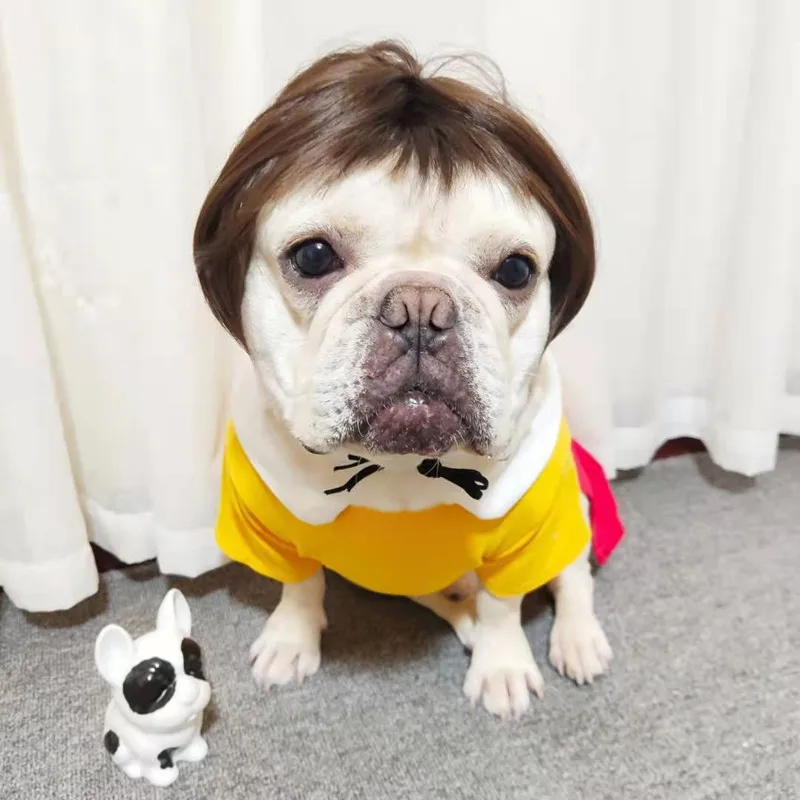 NONOR-pelucas para mascotas, accesorios de Cosplay para perros y gatos divertidos, sombrero de pelo de peluquería cruzada, disfraces, accesorios