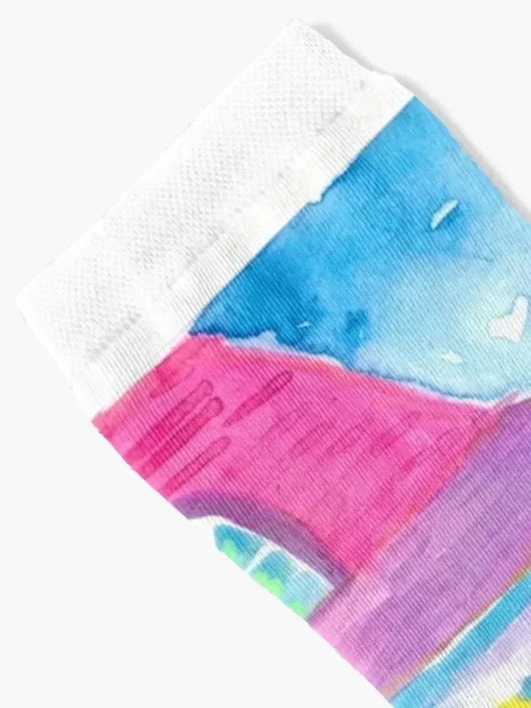 Yellow Conch House Tropical Street Scene With Bike and Rooster Socks Stockings Sports funny gifts Socks Girl Men's