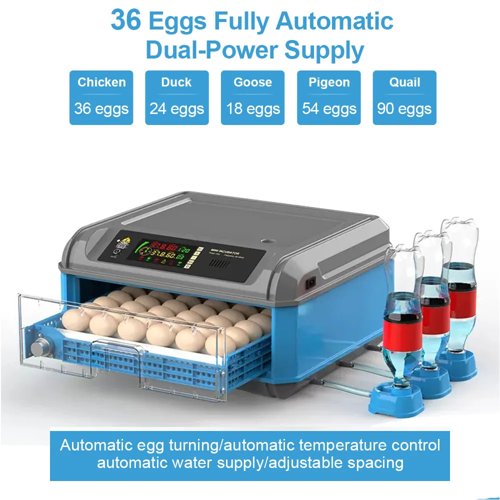 

36 Eggs Incubator With Drawer Type Mini Egg Incubator With Automatic Water Ionic Waterbed Replenishment And Temperature Control