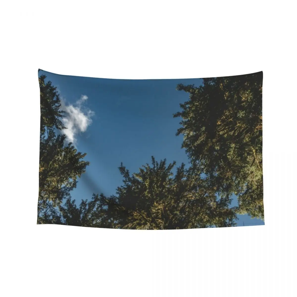

Trees in the Hoh Rainforest - Travel Sun Forest Nature Tree sun green hiking adventure sky Tapestry Room Design Tapestry