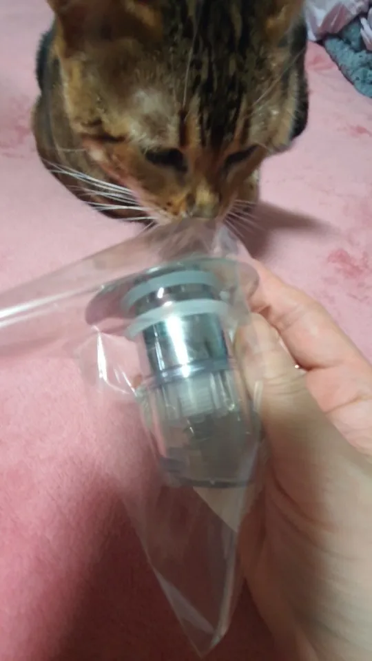 구매후기